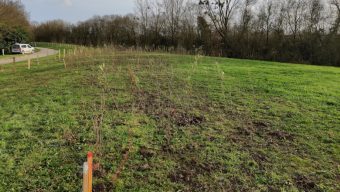 Une forêt urbaine en cours de plantation parc Balzac