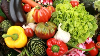 L’Université d’Angers va proposer des paniers de légumes bio à trois euros pour les étudiants