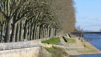 La Ville veut animer le quai Monge