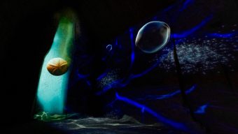 Le Mystère des Faluns fête ses dix ans avec de nouveaux espaces à découvrir