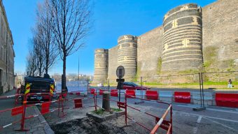 Une association déplore l’abattage de cinq arbres près du château d’Angers