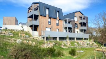 Angers Loire Habitat expérimente l’éco-pâturage pour l’entretien de ses espaces verts