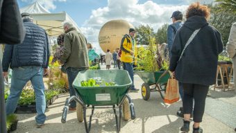 Terra Botanica organise ce week-end son grand marché aux plantes