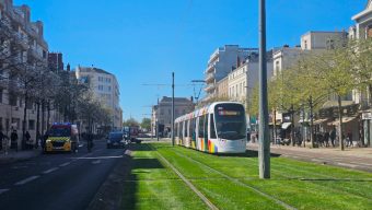 Gratuité les week-ends, voies réservées aux bus… Demain Angers liste ses priorités en matière de transport