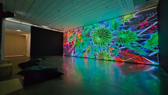 Expositions, spectacles, salon… Nos idées de sorties pour ce week-end à Angers