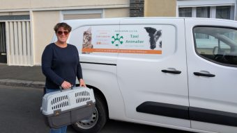 À Angers, elle transporte les animaux de compagnie avec son taxi