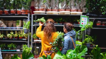 Une grande vente de plantes organisée aux Galeries Lafayette d’Angers