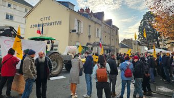 À Angers, des éleveurs mobilisés contre l’abattage des troupeaux lié à la dermatose nodulaire
