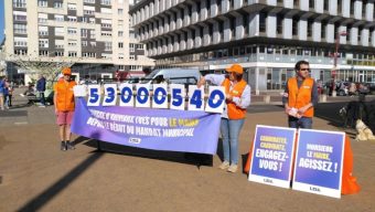 Municipales : l&rsquo;association L214 interpelle les candidats sur « la réduction du nombre d’animaux tués pour la consommation alimentaire de la ville »