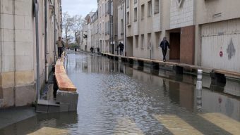 La Maine poursuit sa hausse : la Ville d’Angers met en place de nouvelles mesures de sécurité