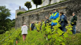 Un week-end pour découvrir l’agriculture urbaine à Angers