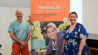 Face à la précocité annoncée des vendanges et des cueillettes, les viticulteurs et arboriculteurs du Maine-et-Loire recrutent