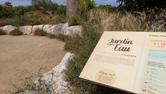 Depuis six ans, Terra Botanica expérimente un jardin sans eau