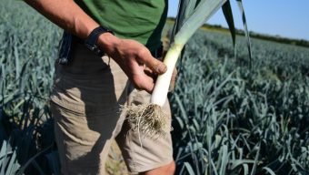 La Confédération paysanne de Maine-et-Loire demande un plan du « quoi qu’il en coûte » pour l’agriculture